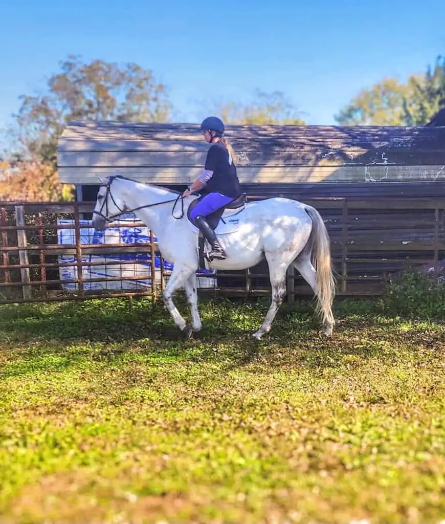 English riding lesson in Bloomingdale, serving Savannah and the Georgia Lowcountry.
